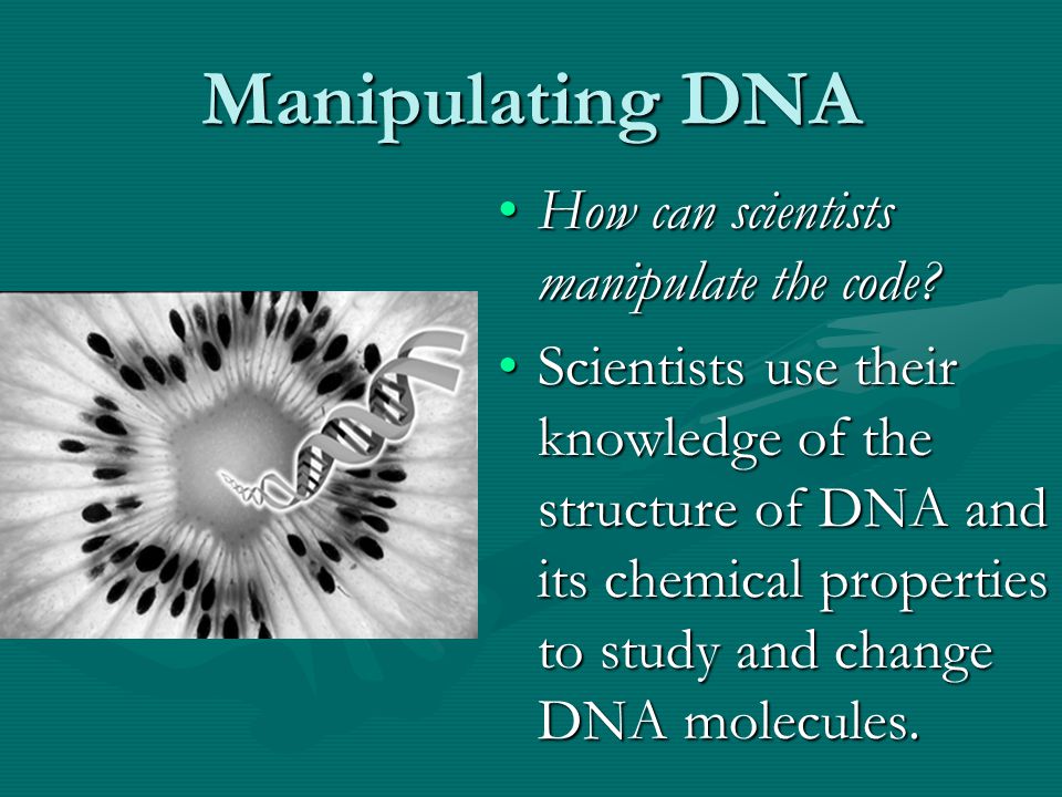 Manipulating DNA How can scientists manipulate the code.