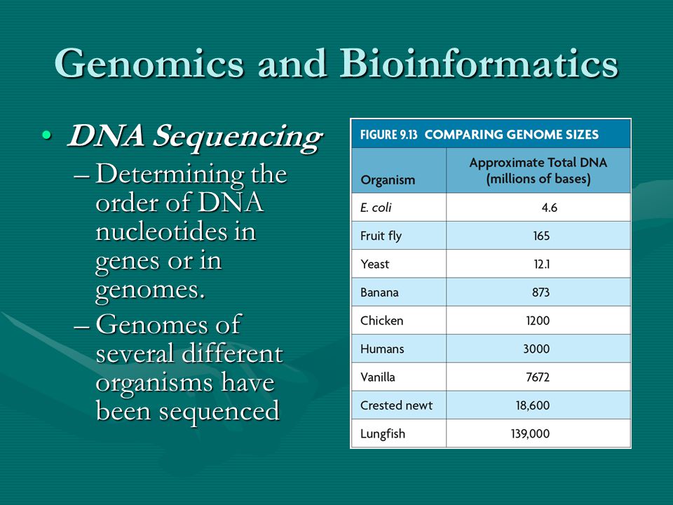 Genomics and Bioinformatics DNA SequencingDNA Sequencing –Determining the order of DNA nucleotides in genes or in genomes.