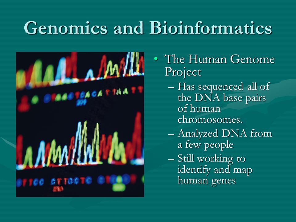 Genomics and Bioinformatics The Human Genome Project –Has sequenced all of the DNA base pairs of human chromosomes.