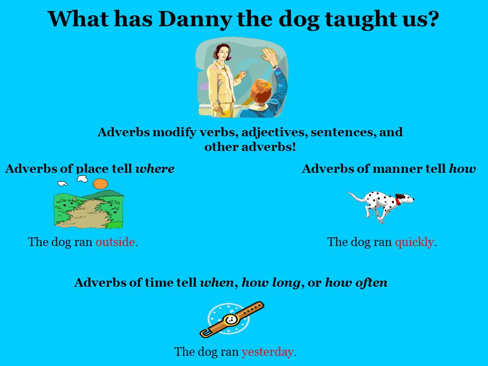 Finally, adverbs of time tell HOW OFTEN How often does Danny go running.