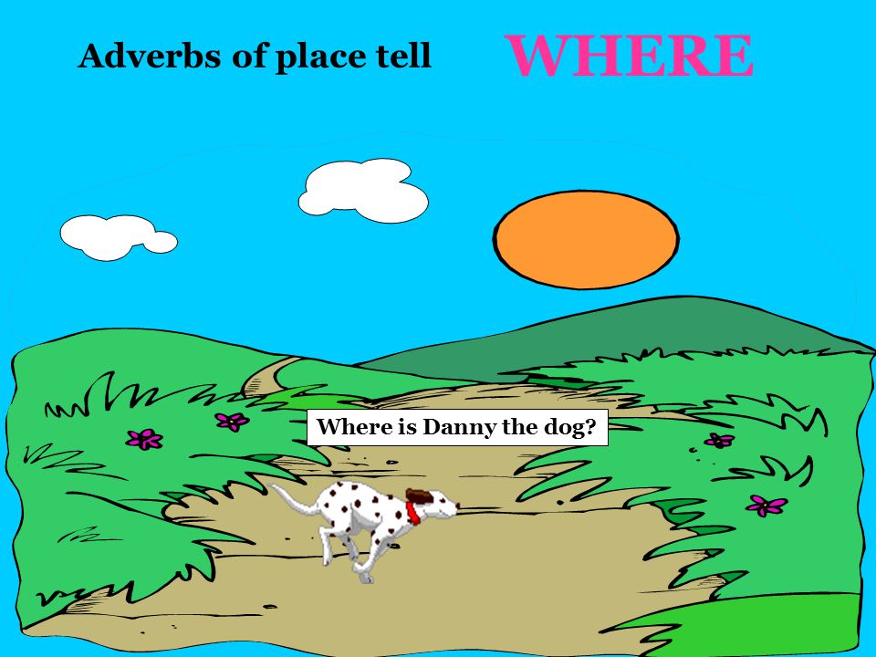 Adverbs… MODIFY or DESCRIBE: verbs, adjectives, sentences, or other adverbs Adverbs… describe a place, manner, or time Let’s have Danny the dog help show us what all this means!