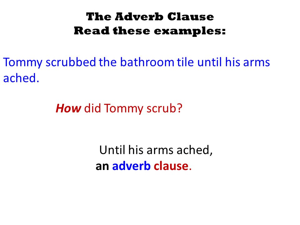 The Adverb Clause Read these examples: Tommy scrubbed the bathroom tile until his arms ached.