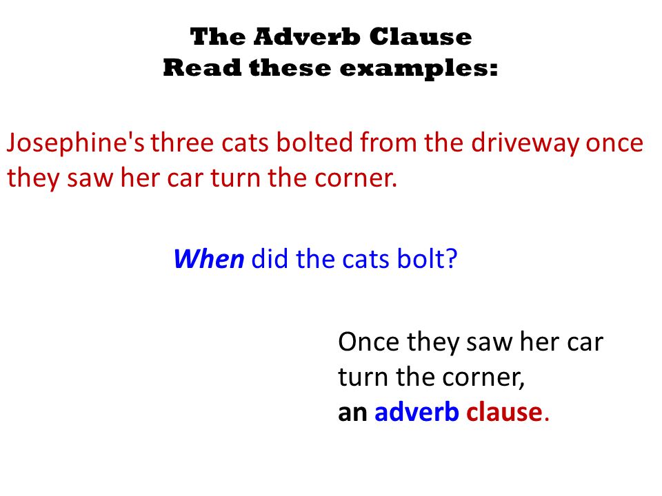 The Adverb Clause Read these examples: Josephine s three cats bolted from the driveway once they saw her car turn the corner.