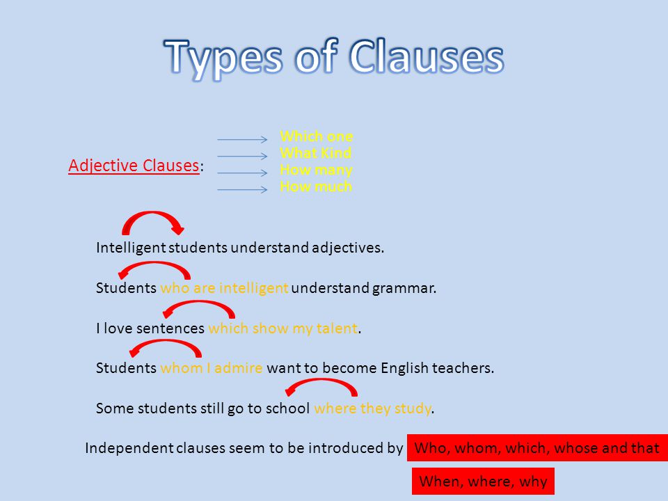 Adjective Clauses : Which one What Kind How much How many Intelligent students understand adjectives.