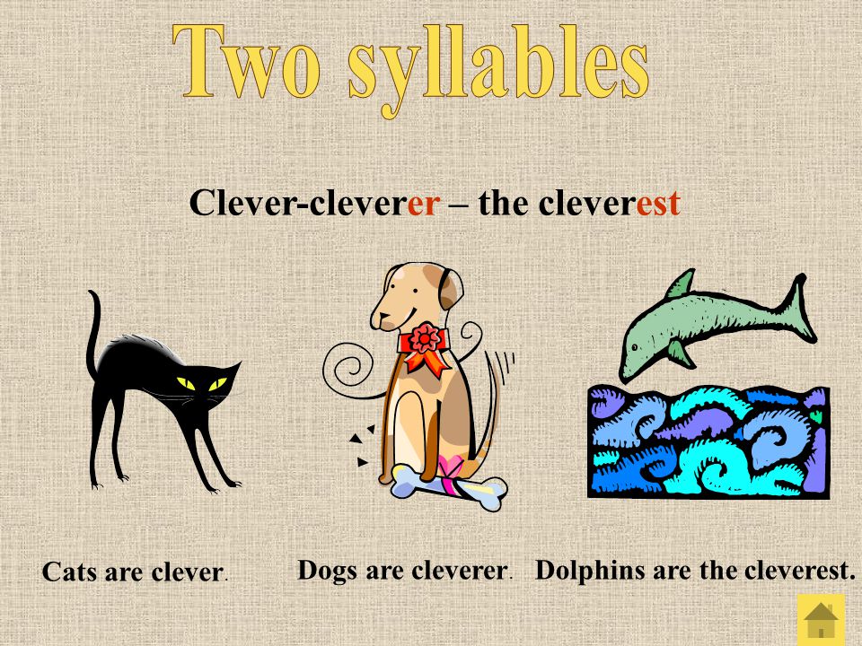 Clever-cleverer - the cleverest Cats are clever. 