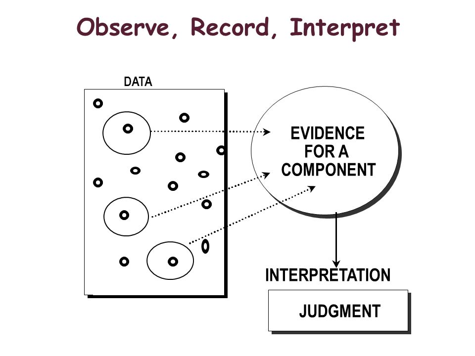 Observe, Record, Interpret INTERPRETATION DATA EVIDENCE FOR A COMPONENT JUDGMENT
