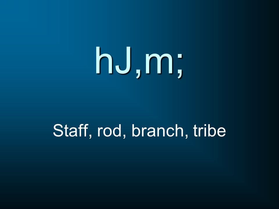 hJ,m; Staff, rod, branch, tribe