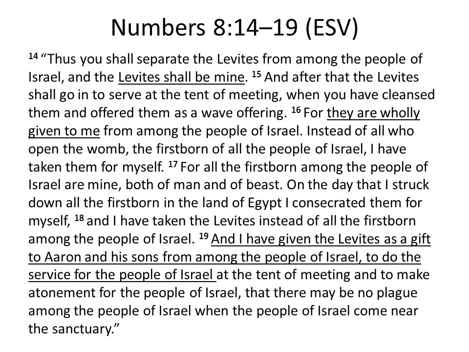 Numbers 8:14–19 (ESV) 14 Thus you shall separate the Levites from among the people of Israel, and the Levites shall be mine.