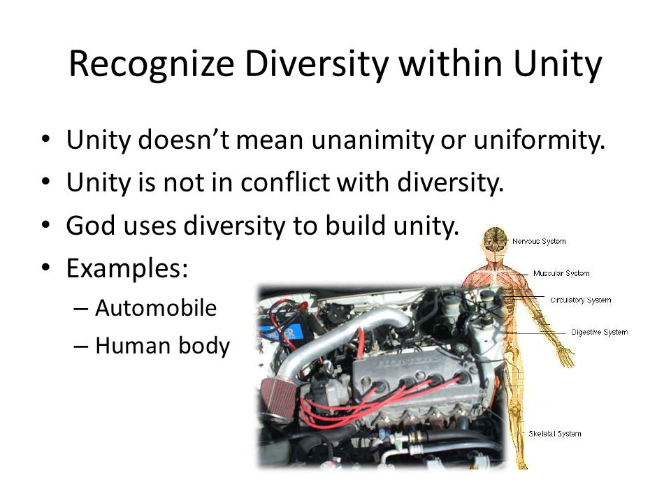 Recognize Diversity within Unity Unity doesn’t mean unanimity or uniformity.