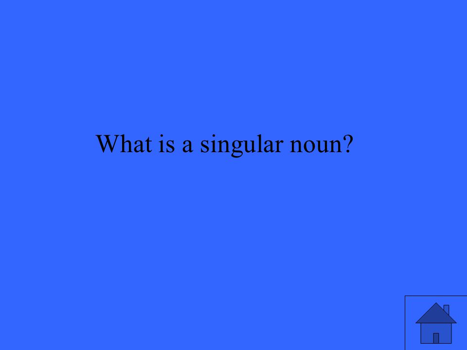 What is a singular noun