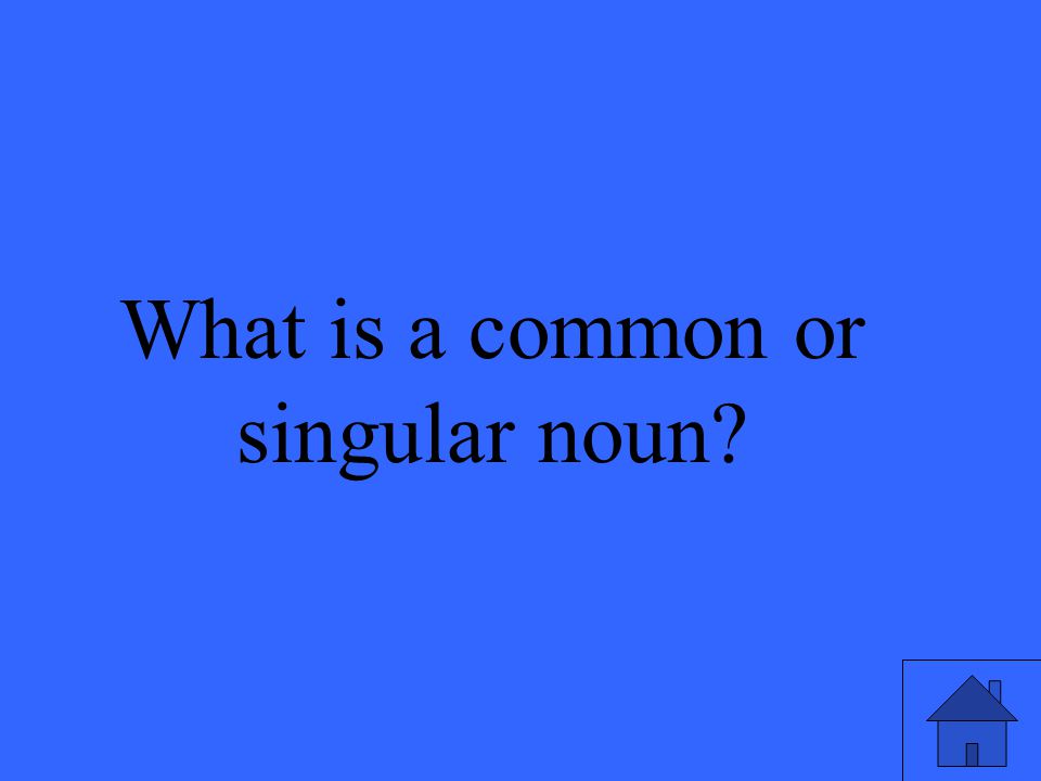 What is a common or singular noun