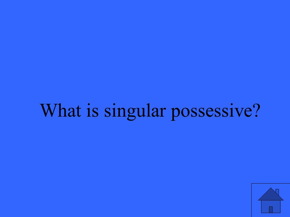 What is singular possessive