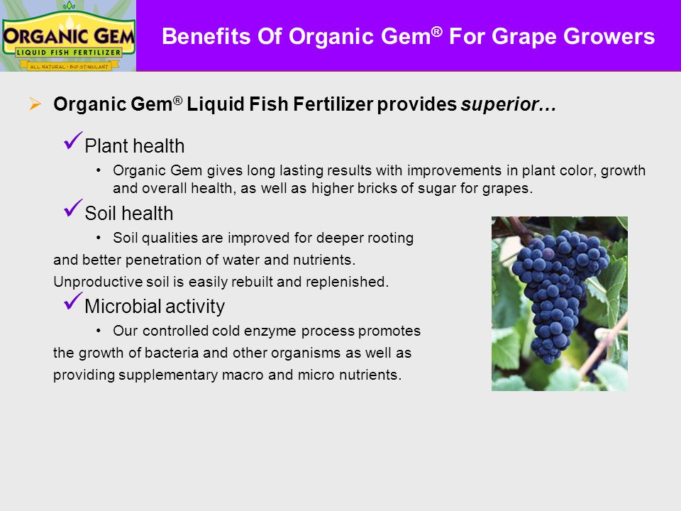 A Special Presentation For G Rape Rowers V Ineyards Advanced Benefits Of Organic Gem For Grape Growers Liquid Fish Fertilizer Provides