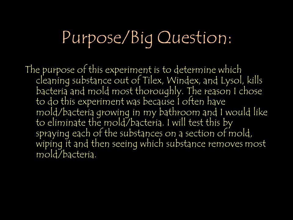 science fair experiment 12 10 09 biology period 4 science fair