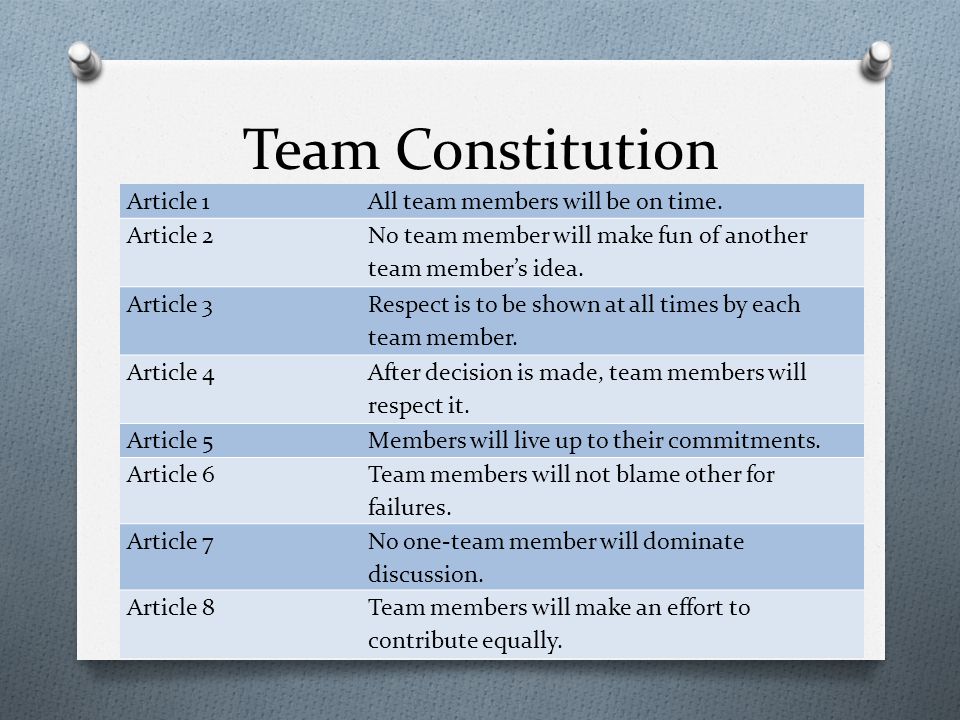 Team Constitution Article 1All team members will be on time.