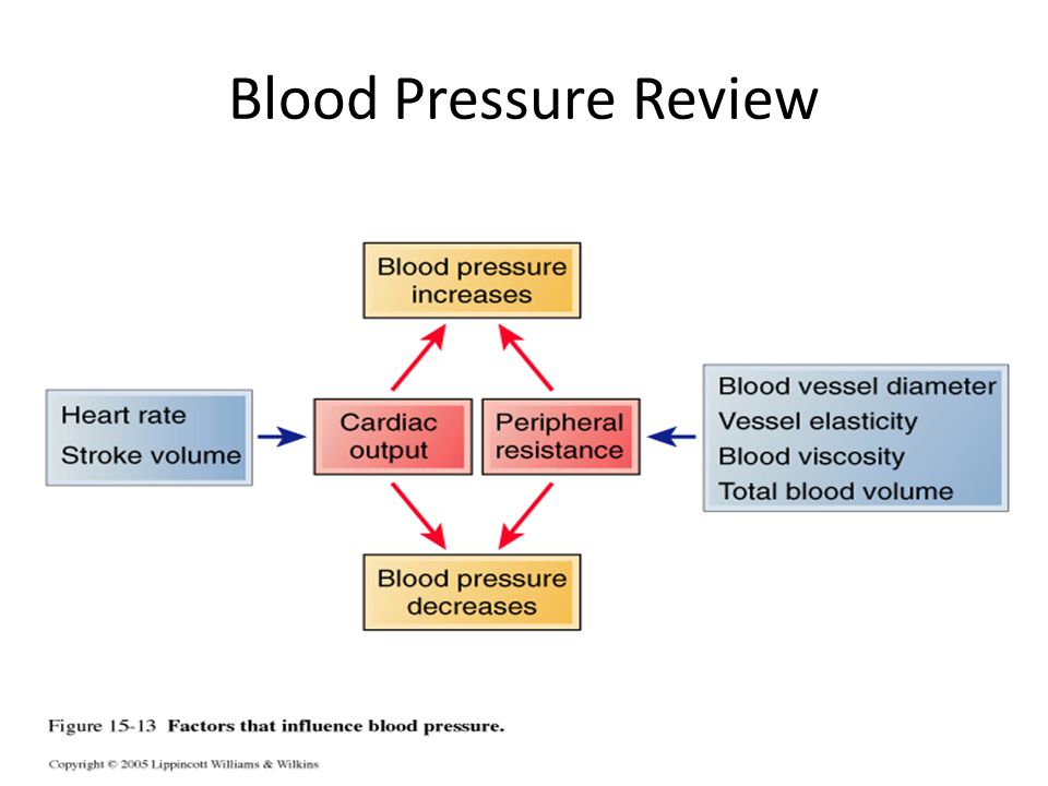 Blood Pressure Review