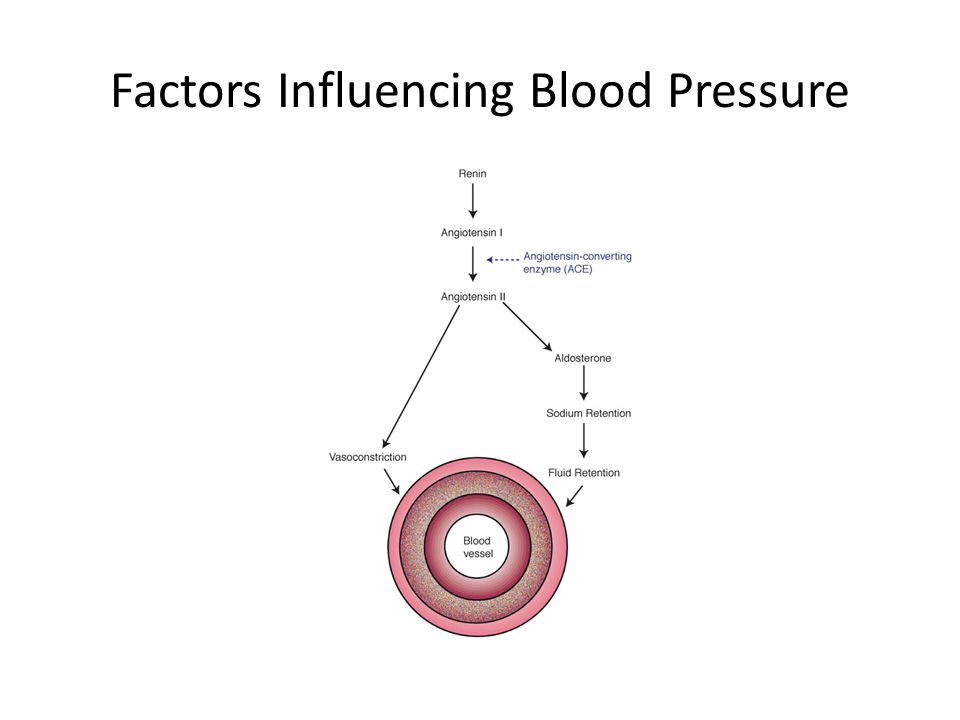 Factors Influencing Blood Pressure