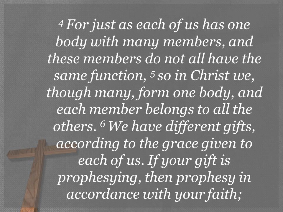 4 For just as each of us has one body with many members, and these members do not all have the same function, 5 so in Christ we, though many, form one body, and each member belongs to all the others.