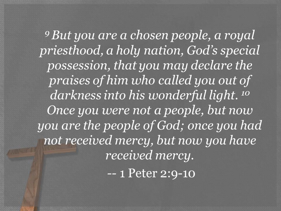 9 But you are a chosen people, a royal priesthood, a holy nation, God’s special possession, that you may declare the praises of him who called you out of darkness into his wonderful light.