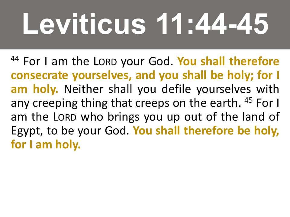Leviticus 11: For I am the L ORD your God.