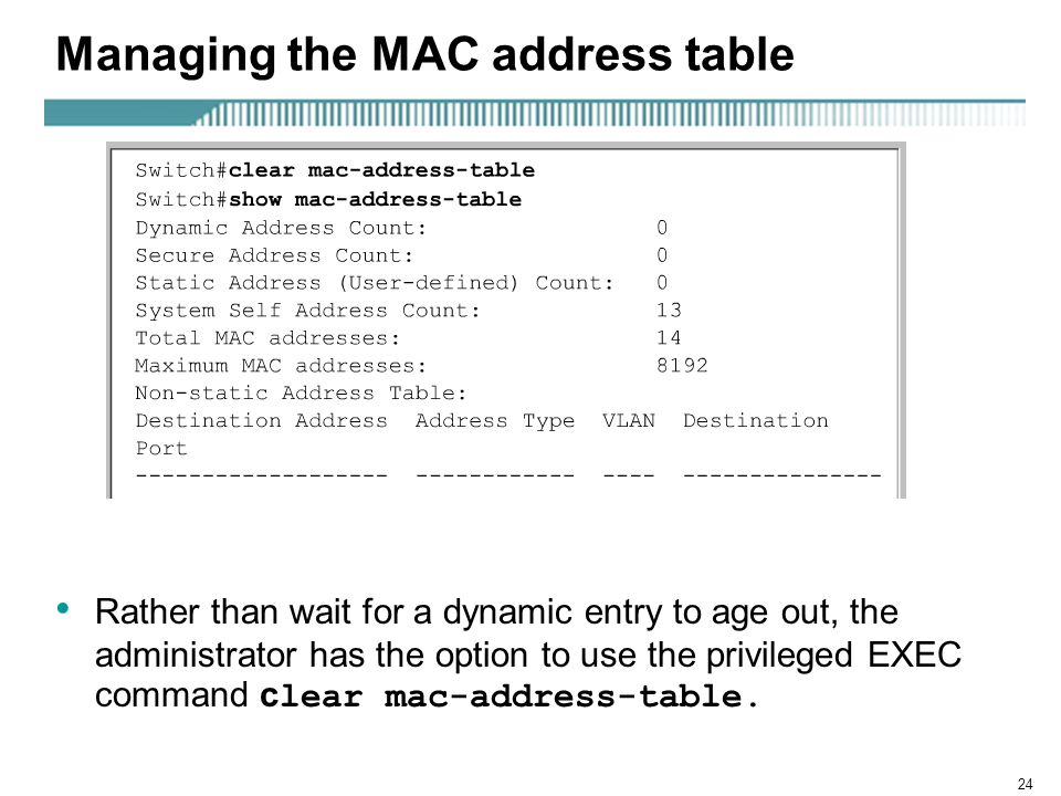 show mac address table dynaic secure static