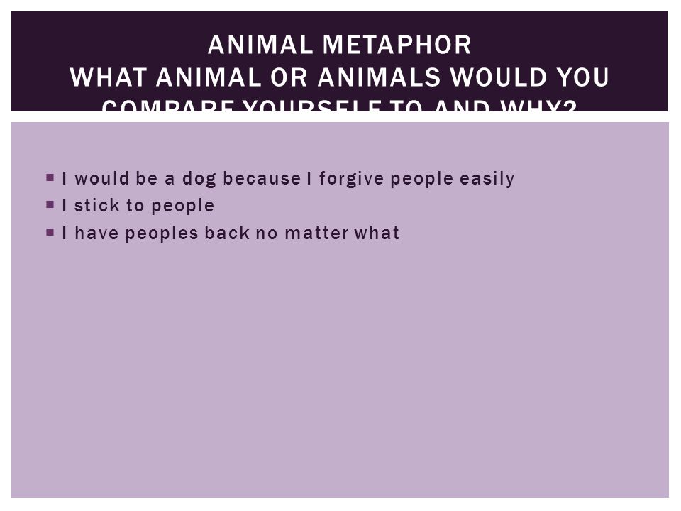 I would be a dog because I forgive people easily  I stick to people  I have peoples back no matter what ANIMAL METAPHOR WHAT ANIMAL OR ANIMALS WOULD YOU COMPARE YOURSELF TO AND WHY