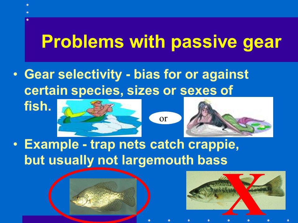 Chapter 6 Passive Capture Techniques. Fish caught by –Entanglement