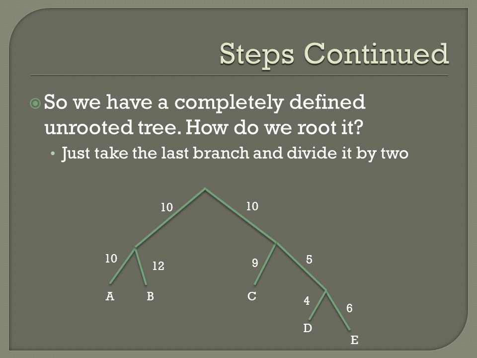  So we have a completely defined unrooted tree. How do we root it.