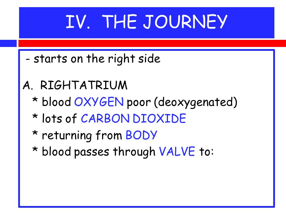 IV. THE JOURNEY - starts on the right side A.