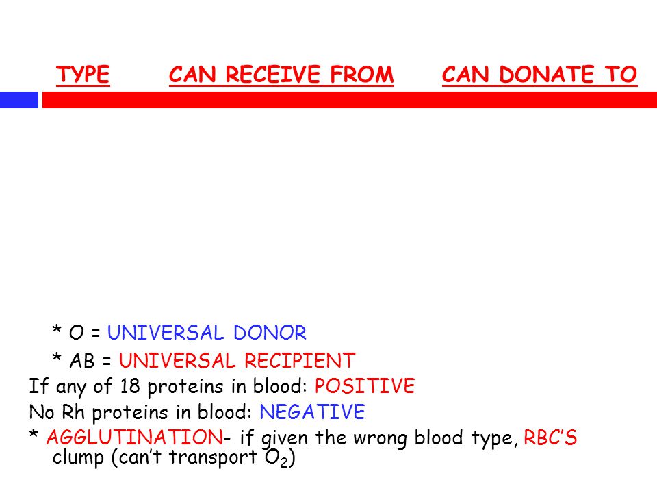TYPE CAN RECEIVE FROM CAN DONATE TO * O = UNIVERSAL DONOR * AB = UNIVERSAL RECIPIENT If any of 18 proteins in blood: POSITIVE No Rh proteins in blood: NEGATIVE * AGGLUTINATION- if given the wrong blood type, RBC’S clump (can’t transport O 2 )