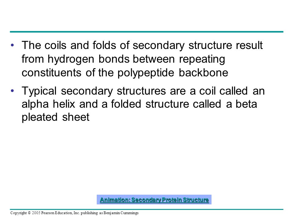 Proteins. Copyright © 2005 Pearson Education, Inc. publishing as Benjamin  Cummings Concept : Proteins have many structures, resulting in a wide  range. - ppt download