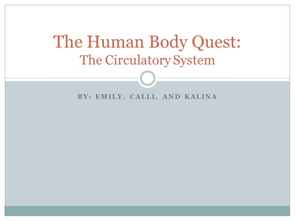 BY: EMILY, CALLI, AND KALINA The Human Body Quest: The Circulatory System