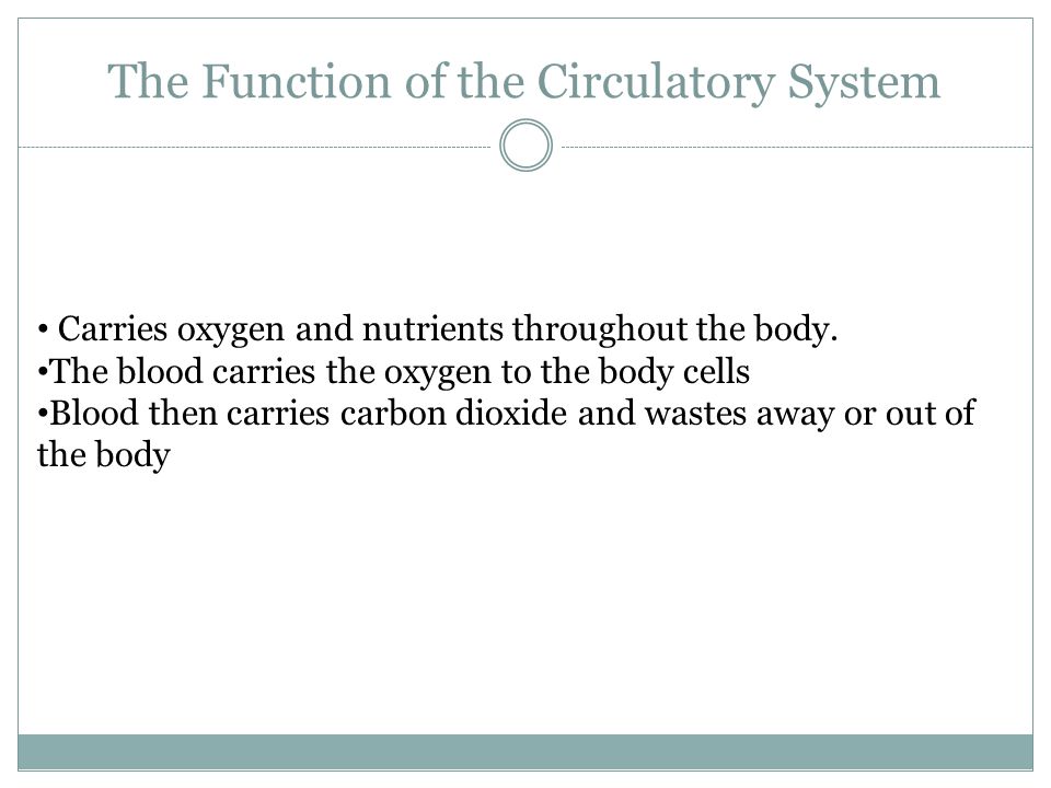 The Function of the Circulatory System Carries oxygen and nutrients throughout the body.