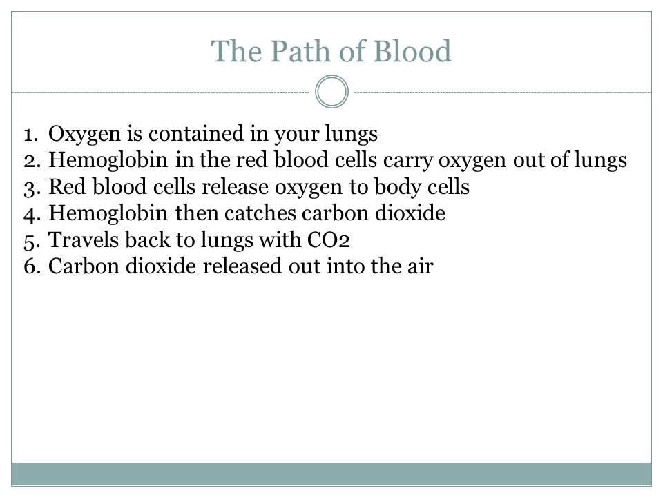 The Path of Blood 1.Oxygen is contained in your lungs 2.Hemoglobin in the red blood cells carry oxygen out of lungs 3.Red blood cells release oxygen to body cells 4.Hemoglobin then catches carbon dioxide 5.Travels back to lungs with CO2 6.Carbon dioxide released out into the air