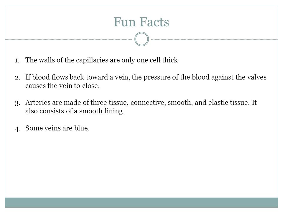 Fun Facts 1.The walls of the capillaries are only one cell thick 2.If blood flows back toward a vein, the pressure of the blood against the valves causes the vein to close.