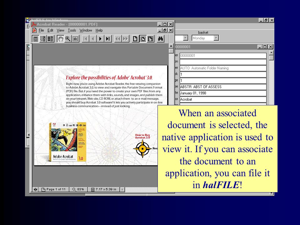 Associated File Support Imports documents using the native application as the viewer Documents are integrated and can be modified using the native application WordExcel Internet Web PagesAcrobat Video Clips Sounds