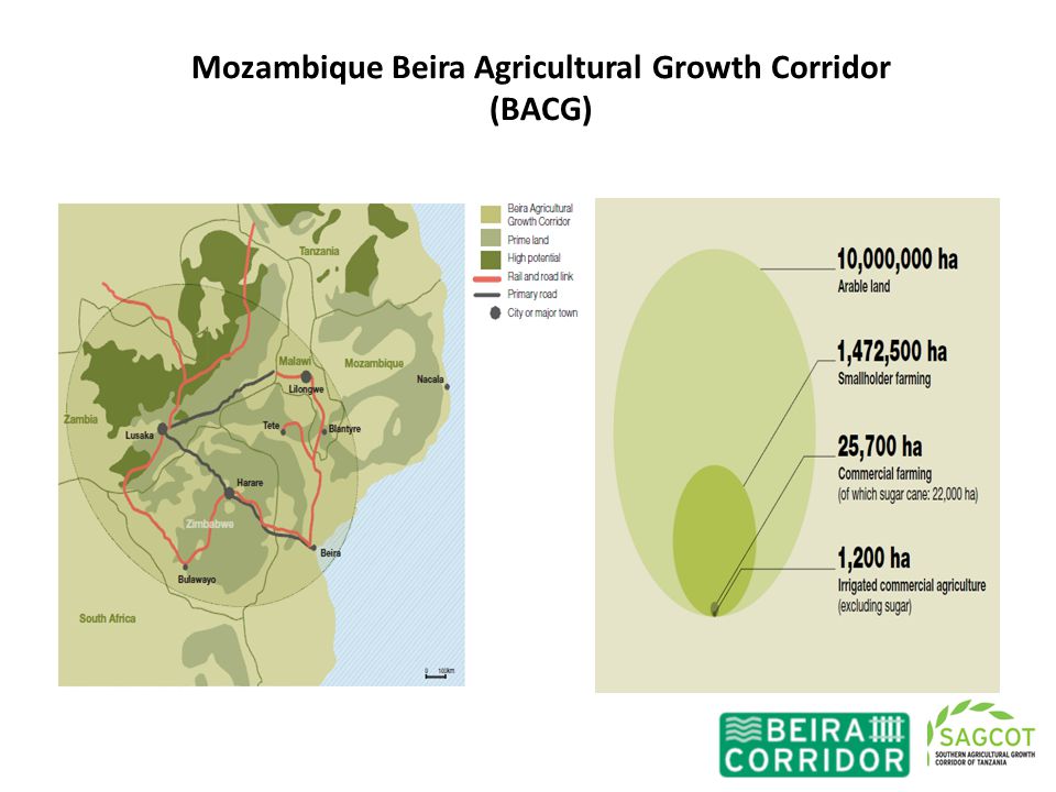 Mozambique Beira Agricultural Growth Corridor (BACG)