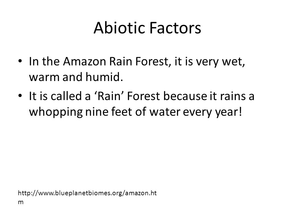 Abiotic Factors In the Amazon Rain Forest, it is very wet, warm and humid.