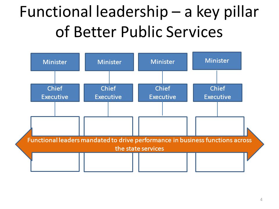 Functional leadership – a key pillar of Better Public Services Functional leaders mandated to drive performance in business functions across the state services Minister Chief Executive 4