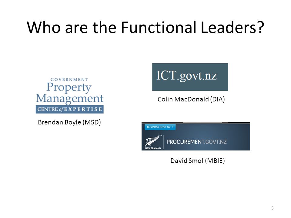 Who are the Functional Leaders Brendan Boyle (MSD) David Smol (MBIE) Colin MacDonald (DIA) 5