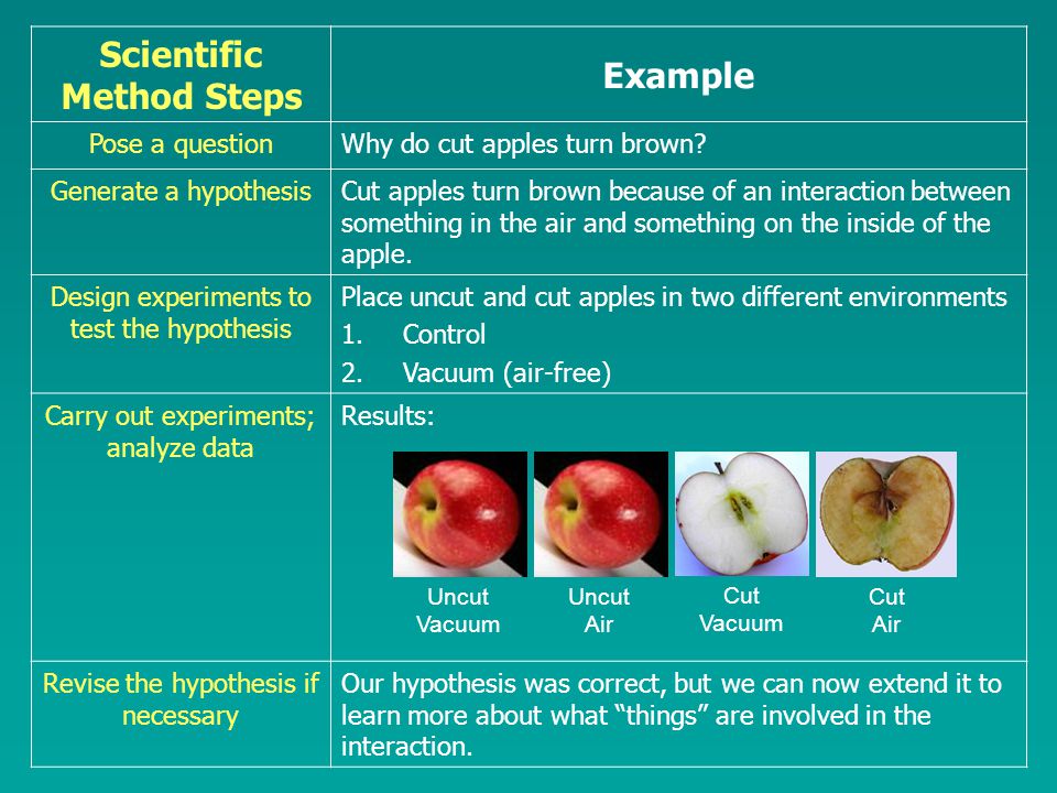 why do apples turn brown hypothesis