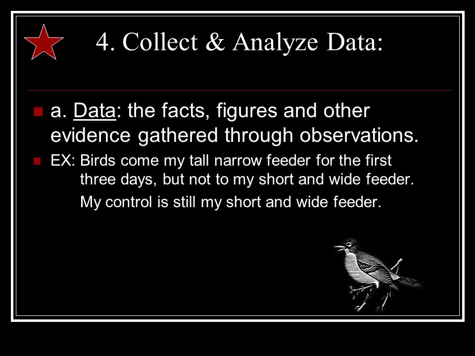4. Collect & Analyze Data: a.