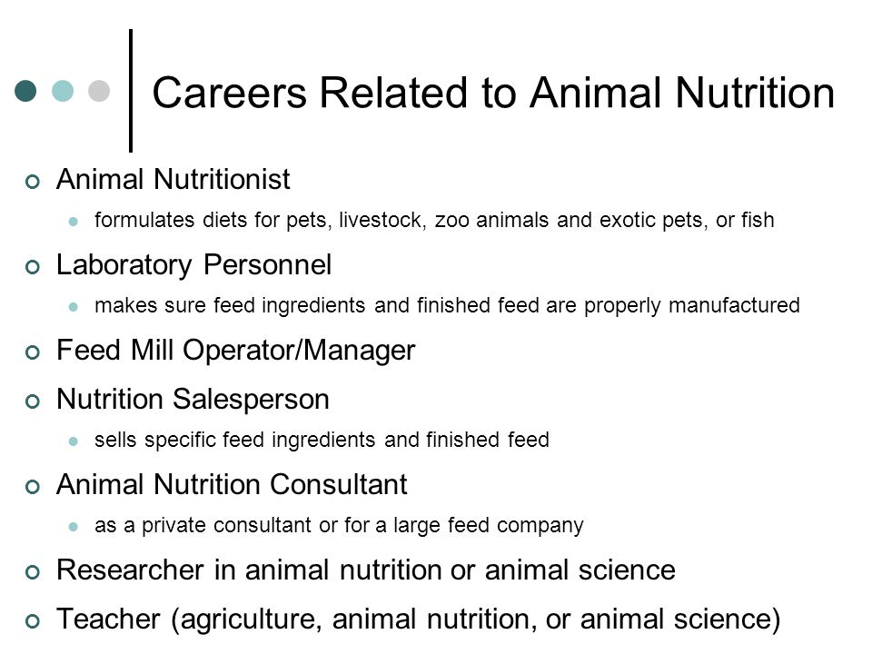 Animal Feed: See, Touch, and Do A Hands-On Lesson Plan on the Basics of Animal  Feed and Animal Nutrition. - ppt download