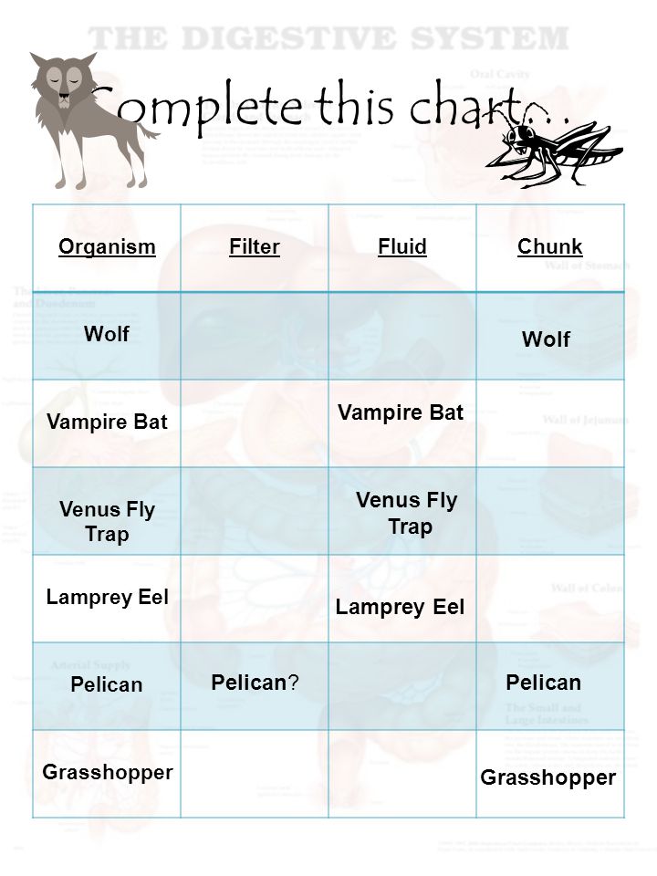 Complete this chart… OrganismFilterFluidChunk Wolf Vampire Bat Venus Fly Trap Lamprey Eel Pelican Grasshopper Wolf Vampire Bat Venus Fly Trap Lamprey Eel Pelican Pelican Grasshopper