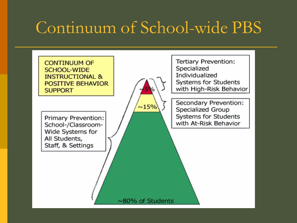 Continuum of School-wide PBS