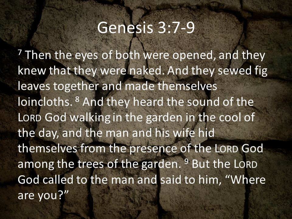 Genesis 3:7-9 7 Then the eyes of both were opened, and they knew that they were naked.