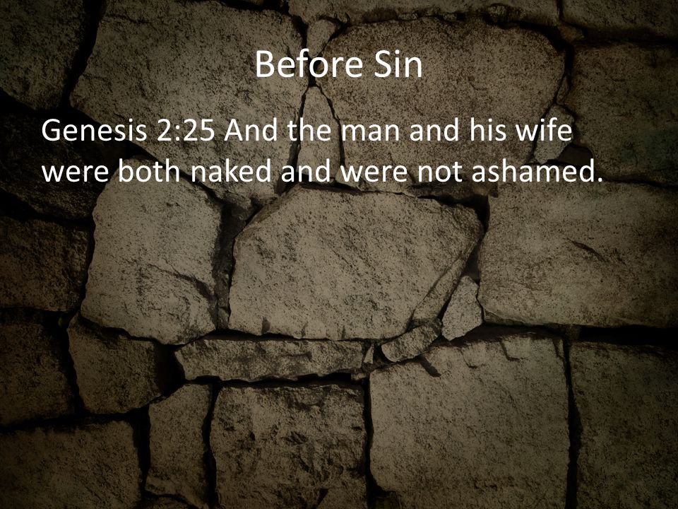 Before Sin Genesis 2:25 And the man and his wife were both naked and were not ashamed.