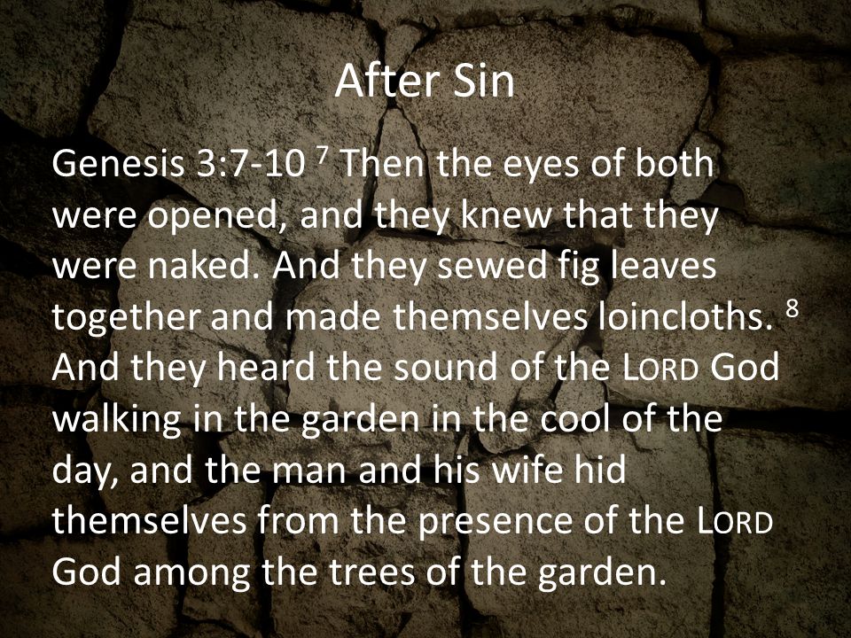 After Sin Genesis 3: Then the eyes of both were opened, and they knew that they were naked.