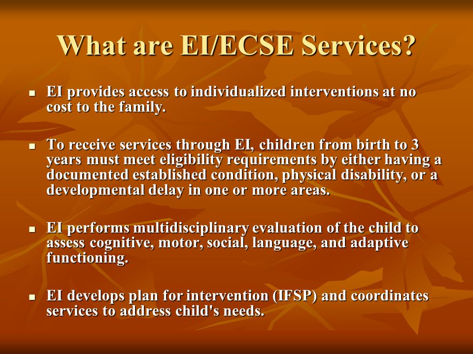 What are EI/ECSE Services.