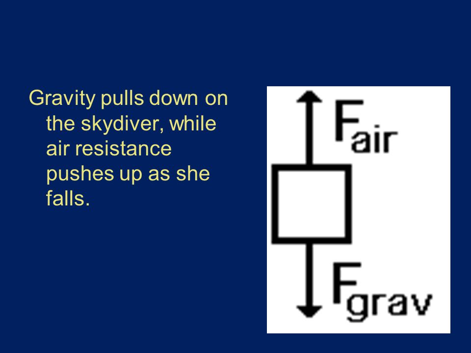 Gravity pulls down on the skydiver, while air resistance pushes up as she falls.
